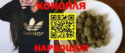 гидра Будённовск