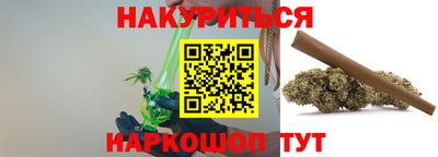 гидра Будённовск