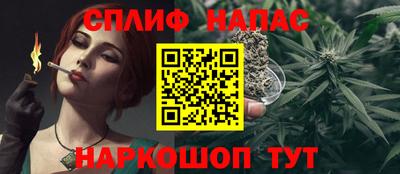 гидра Будённовск
