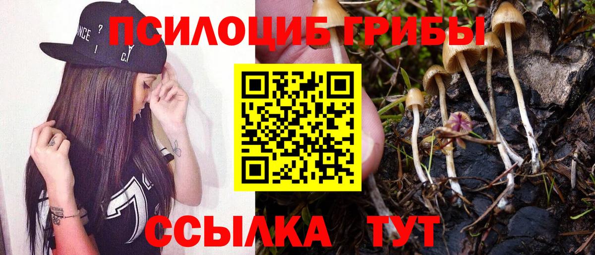 Нововоронеж  Псилоцибиновые грибы Magic Shrooms  наркотики  Вход с VPN 