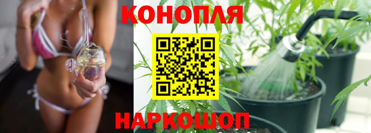Конопля гибрид  Шишки марихуана White Widow  Шишки марихуана семена  Вход с VPN  Каннабис VHQ  Нововоронеж 